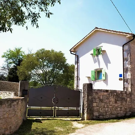 House Vita *